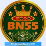 BN55