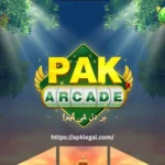 Pak-Arcade