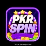 PKR-SPIN